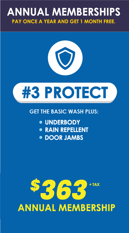 $16, Includes:Hand Prep, Hand-Dry Finish, Bug-Free Guarantee, Free Vacuums, Hand-Dry Door Jambs, Under body Spray, Rain Repellent